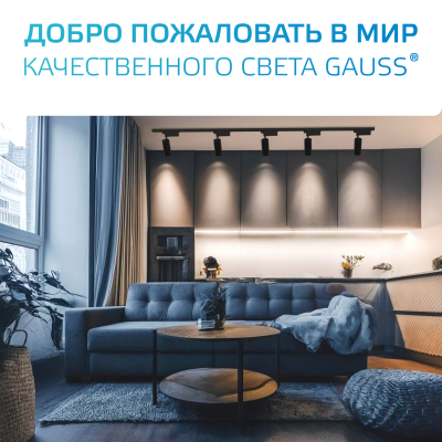 Коннектор для встраиваемых трековых шинопроводов AC 220В Черный IP20 Т-образный Track Gauss