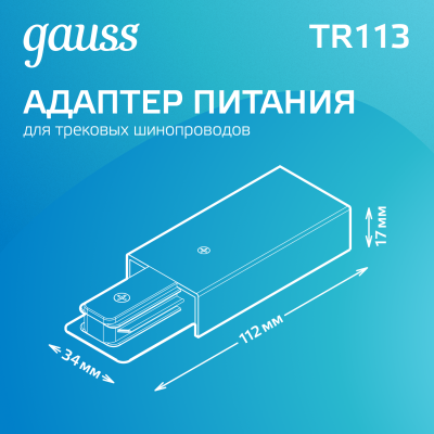 Адаптер питания для подключения трековых шинопроводов к сети AC 220В Черный IP20 Track Gauss