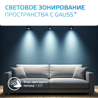 Светильник трековый на шинопровод под лампу 1хGU10 AC 220В Черный IP20 D80х145мм однофазный Track Gauss