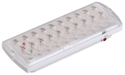 Светильник аварийный ДПА 2101-С централизованного питания 24/220В IP20