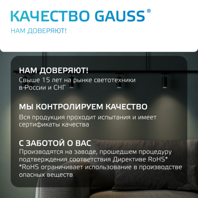 Коннектор для встраиваемых трековых шинопроводов AC 220В Черный IP20 Т-образный Track Gauss