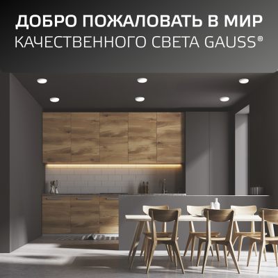 Светильник светодиодный ДВО 24 Вт 2400 лм 4000К AC 220В IP20 круг D170х27мм монт d155мм Пластик безрамочный Frameless Gauss