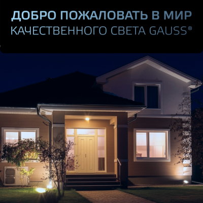 Прожектор светодиодный ДО 200 Вт 24000 лм 6500К AC 220В IP65 290х32х400мм матрированное закаленное стекло Qplus Gauss