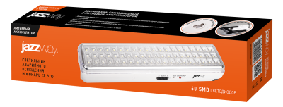 Светильник аккумуляторный светодиодный Accu9-L60
